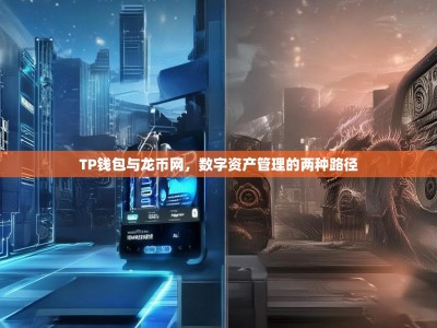 TP钱包与龙币网，数字资产管理的两种路径