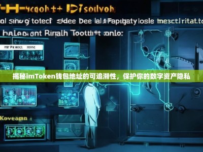 揭秘imToken钱包地址的可追溯性，保护你的数字资产隐私
