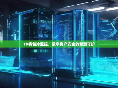 TP钱包冷监控，数字资产安全的智慧守护