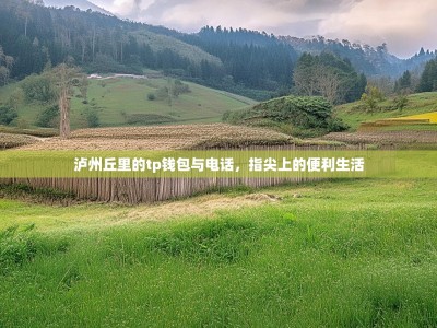 泸州丘里的tp钱包与电话，指尖上的便利生活