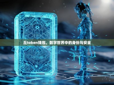 丘token钱包，数字世界中的身份与安全