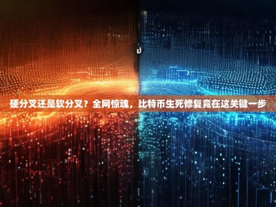 硬分叉还是软分叉？全网惊魂，比特币生死修复竟在这关键一步