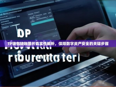 TP钱包转账图片真实性解析，保障数字资产安全的关键步骤